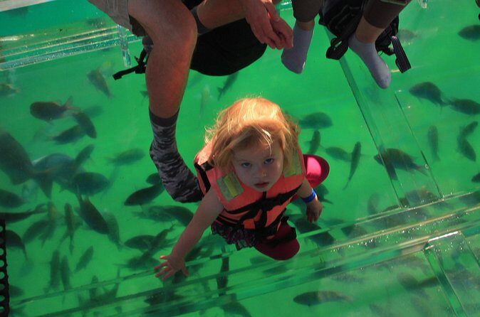 Tour to the Arch of Cabo San Lucas in a transparent glass boat - Additional Considerations for Travelers