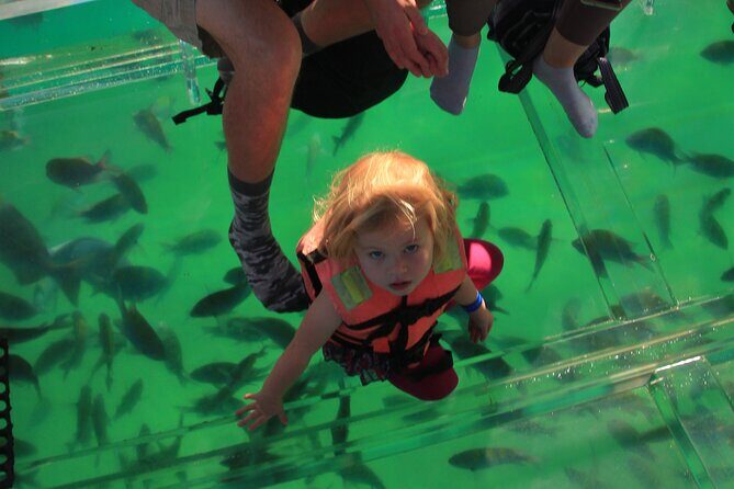 Tour to the Arch of Cabo San Lucas in a transparent glass boat - The Sum Up
