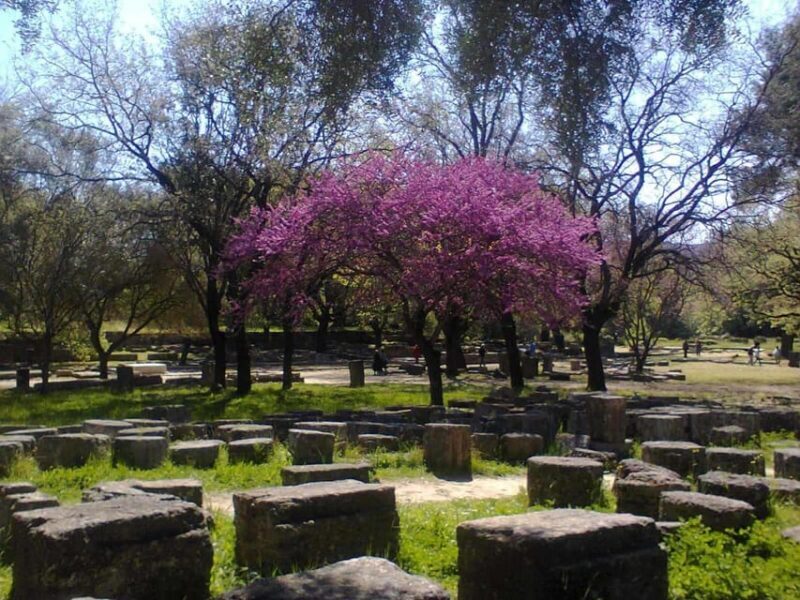 Tour to the archaeological site of Olympia by an archaeologist of Italian descent - Key Points