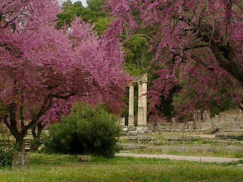 Tour to the archaeological site of Olympia by an archaeologist of Italian descent - A Closer Look at the Tour Experience