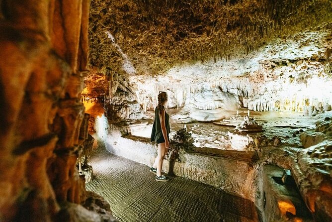 Tour to the Drach Caves From the South of the Island - Summary of Reviews and Recommendations