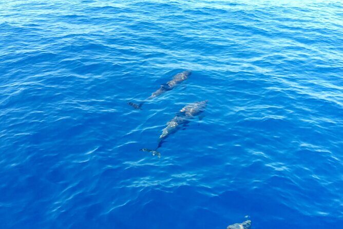 Tour to the islands of the La Maddalena Archipelago by sailing boat - The Experience: Balance of Adventure and Relaxation
