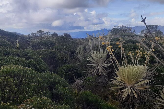 Tour to the Magical Moorland of Sumapaz - Birdwatching Unique Species - Frequently Asked Questions