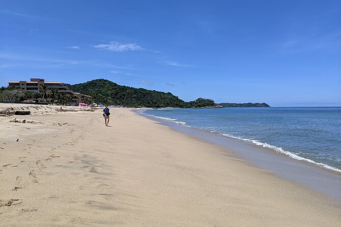 Tour to the Magical Town of Sayulita and San Pancho From Pto Vallarta - Health and Accessibility