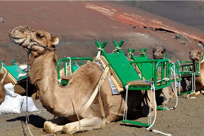 Tour to Timanfaya, Jameos Del Agua, Cueva De Los Verdes and Viewpoint From the Cliff - Directions and Tips