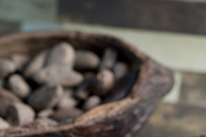 Tour to Uxmal + Choco Story Chocolate Museum - FAQs
