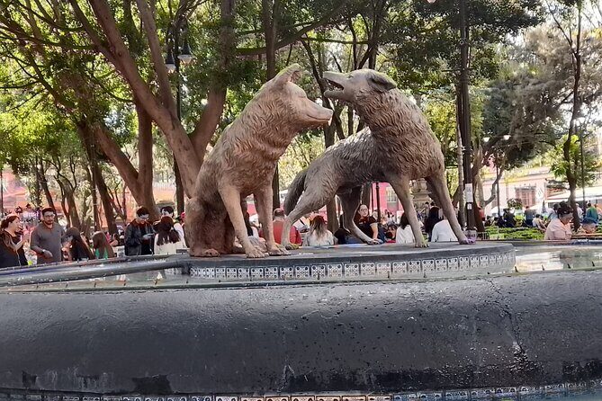 Tour to Xochimilco and Coyoacan and Frida Khalo - A Complete Breakdown of the Tour Experience