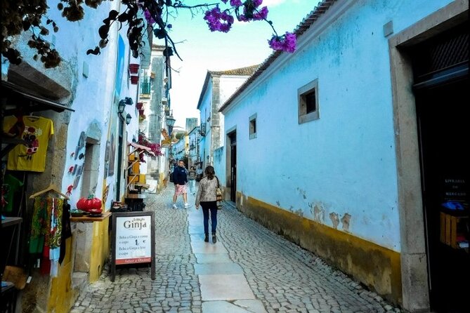 Tour Transfer From Lisbon Porto and Porto Lisbon - Accessibility Features