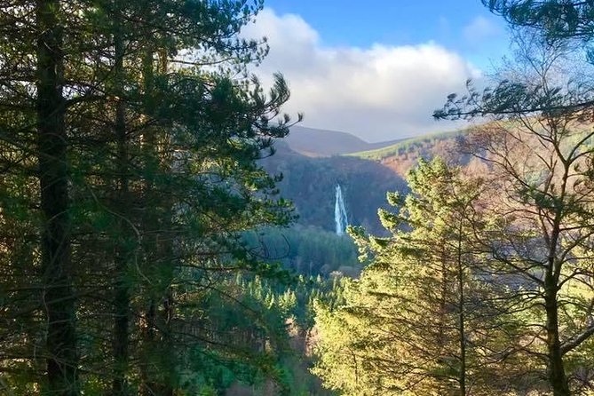 Tour Wicklow Mountains National Park in a Limo With Private Guide - Customizable Itinerary Options