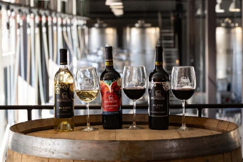 Tour & Wine Tasting at Viñedo San Miguel / San Bartolo Experience - Exploring the Viñedo San Miguel / San Bartolo Experience: A Genuine Introduction to Mexican Wines