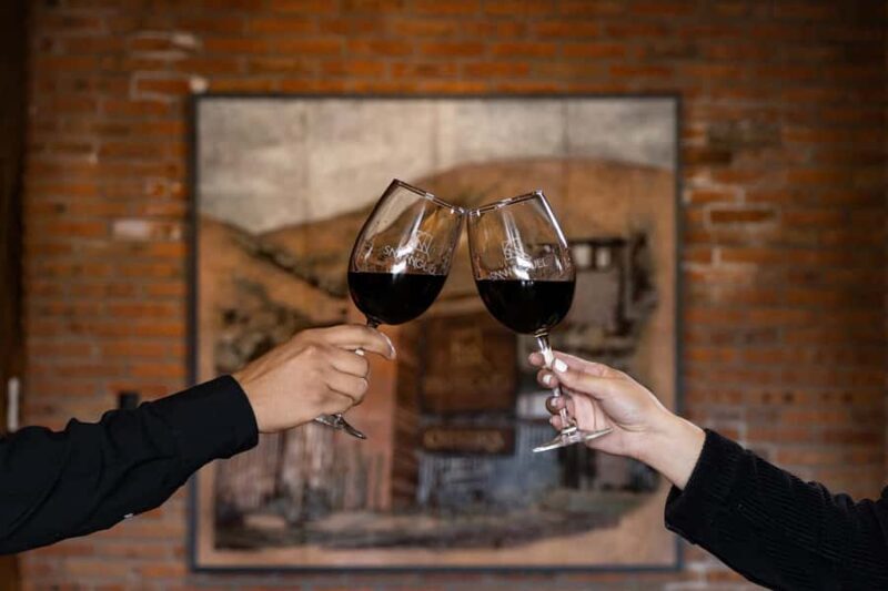 Tour & Wine Tasting at Viñedo San Miguel / San Bartolo Experience - What to Expect During the Tour