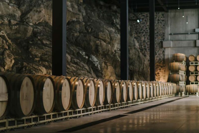 Tour & Wine Tasting San Miguel Vineyard / San Miguel Experience - A Close Look at the San Miguel Vineyard & Experience