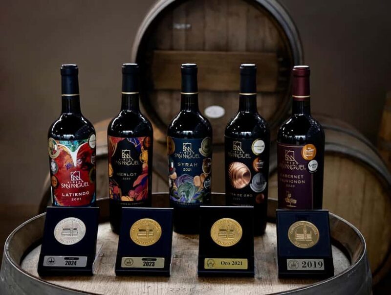 Tour & Wine Tasting San Miguel Vineyard / San Miguel Experience - Who Should Consider This Tour?