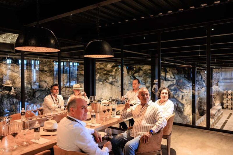 Tour & Wine Tasting San Miguel Vineyard / San Miguel Experience - The Sum Up