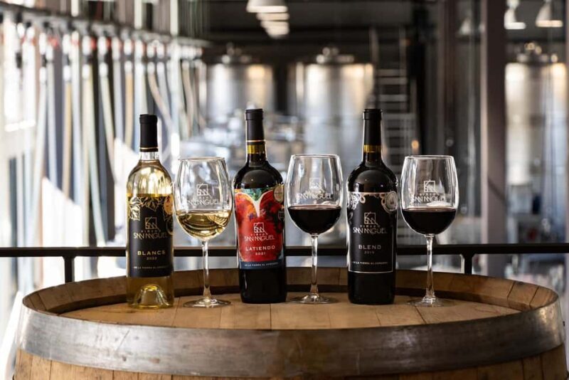 Tour & Wine Tasting Viñedo San Miguel / San Bartolo Experience - Final Thoughts