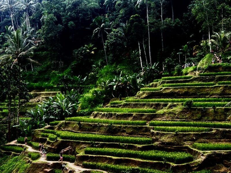 Tour With 12 Hours Vacation - Communication and Logistics