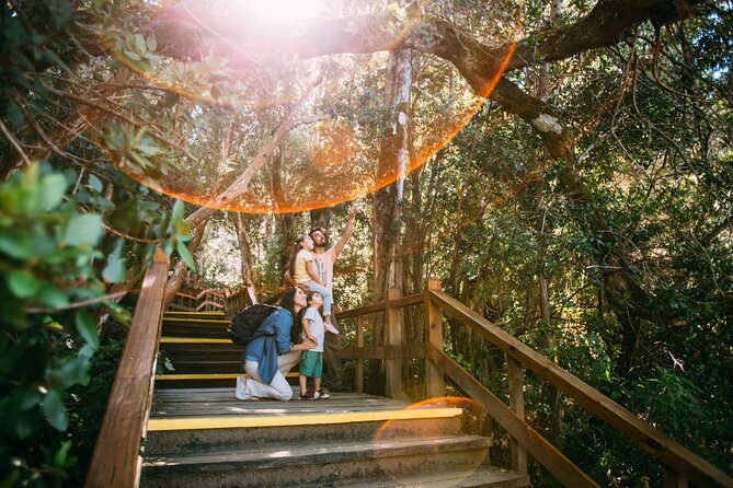 Tour With Navigation to the Arrayanes Forest and Victoria Island - Good To Know