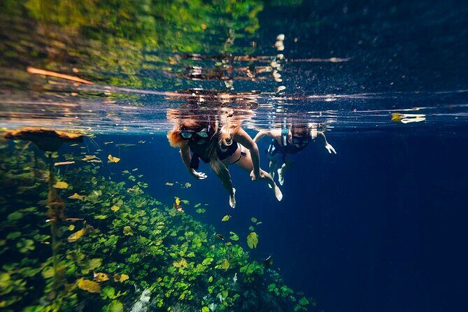 Tour Xenotes Advenure From Cancun & Playa del Carmen - What Makes the Cenotes Special?