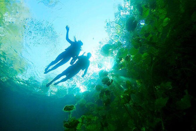 Tour Xenotes Advenure From Cancun & Playa del Carmen - The Sum Up: Who Should Consider This Tour?