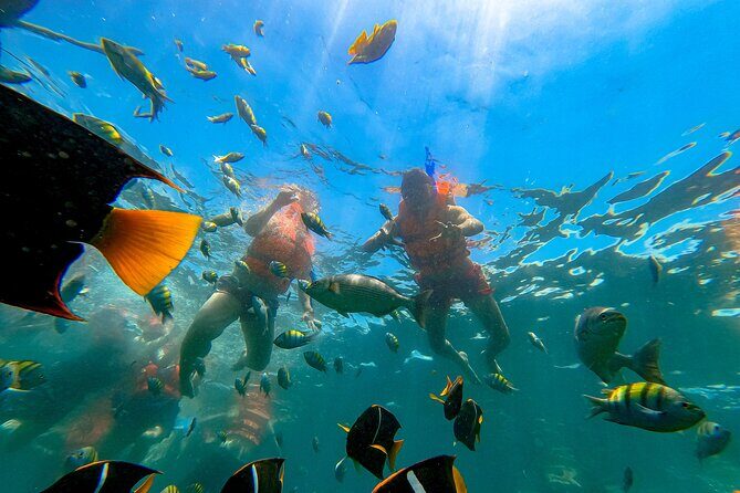 Tour Yelapa and Majahuitas with Lunch and Open Bar - Key Points