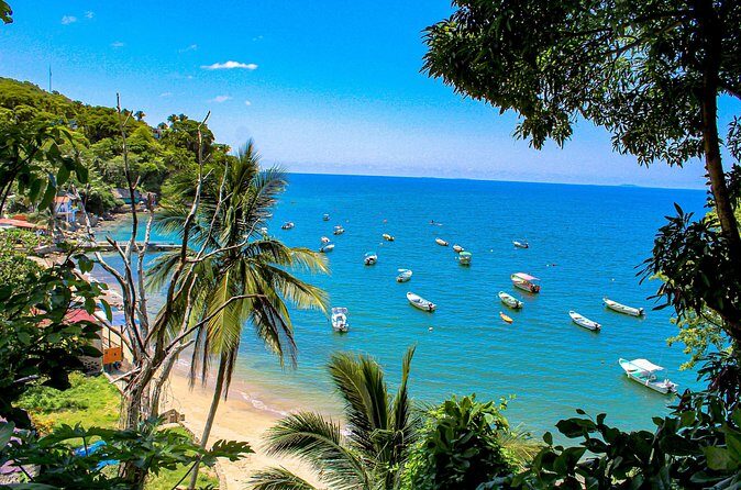 Tour Yelapa and Majahuitas with Lunch and Open Bar - In The Sum Up