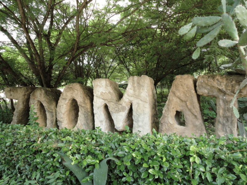 Tour ZOOMAT, Christ of Chiapas, Sumidero Canyon Viewpoints in Spanish - Frequently Asked Questions