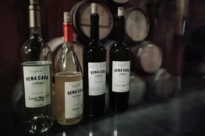 Tourist guide in the Wine Country (Valle de Guadalupe) Ensenada - Final Thoughts