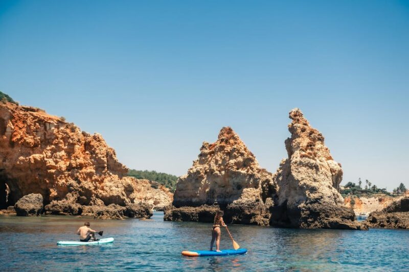 Tours along the Algarve Coast - Marine Life and Scenic Views