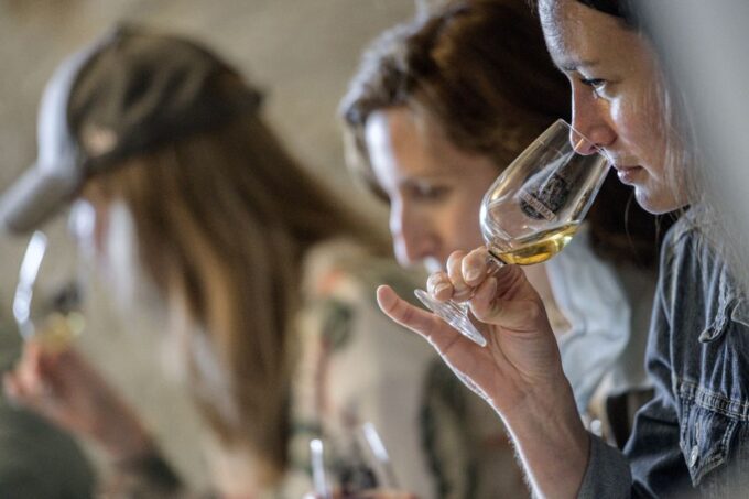 Tours/Amboise: Private Day Trip Chambord, Blois & Cheverny - Customer Experience