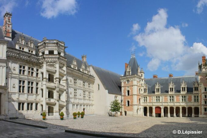 Tours/Amboise: Private Day Trip Chambord, Blois & Cheverny - Accessibility Information