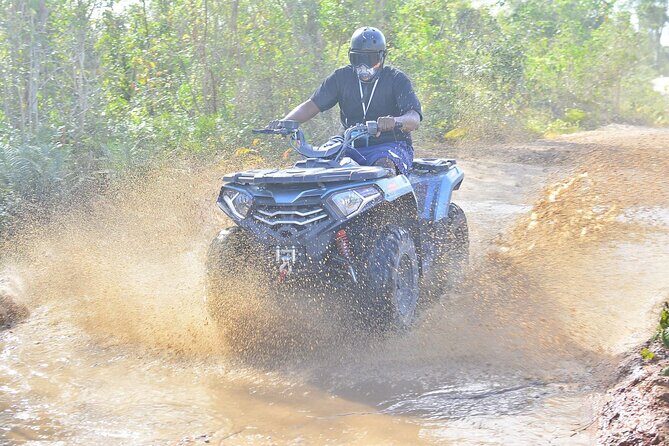 Tours Buggy Punta Cana Macau - What We Learned from Reviews