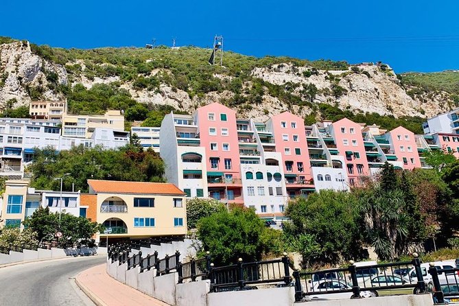 Tours of Gibraltar - STANDARD TOUR - Interacting With Barbary Monkeys