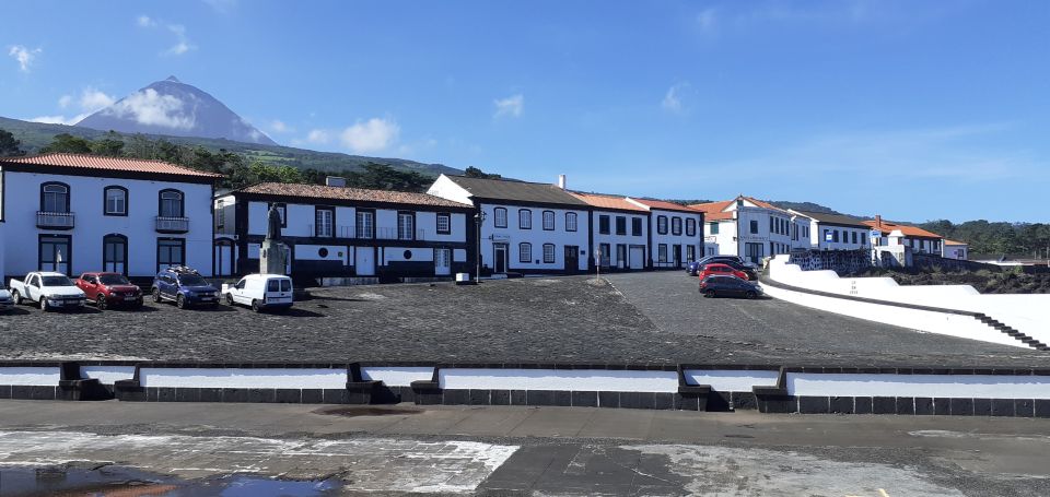 Tours on Pico Island - Cultural and Natural Landscape - Highlights of the Tour