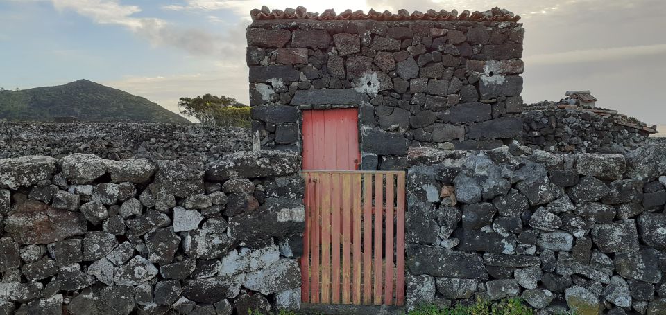 Tours on Pico Island - Cultural and Natural Landscape - Itinerary and Attractions
