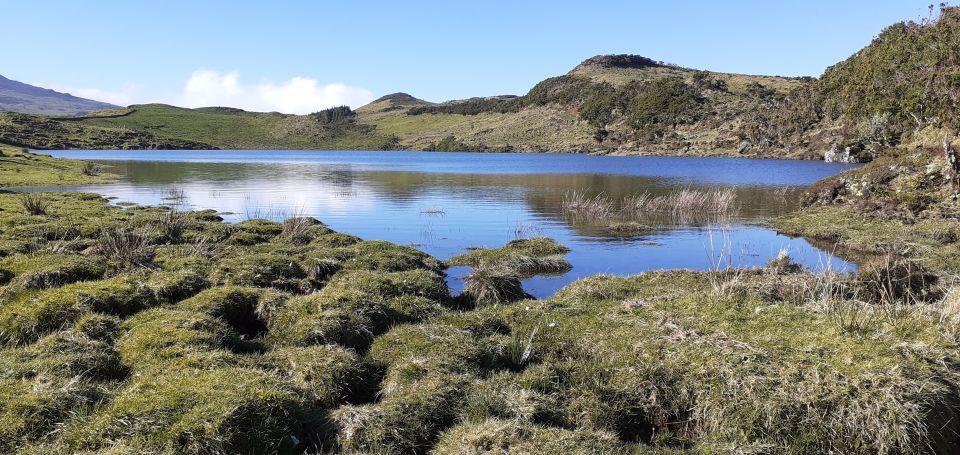 Tours on Pico Island - Cultural and Natural Landscape - Observing the Volcanic Nature