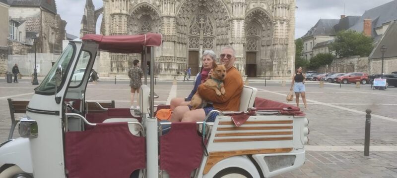 Tours: Visit to the Historic Heart of the City. - Visiting the Saint-Martin Basilica