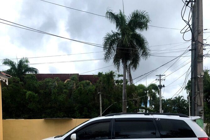 Tous/excursión/puerto plato,los 27 charcos de damajagua tour - Why Choose This Tour?