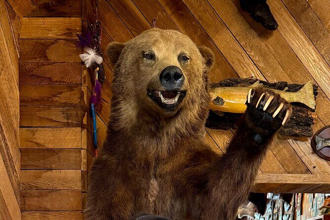 Town of Banff Highlights 2 Hour Walking Tour | Gratuity-Based - What to Expect on This Tour