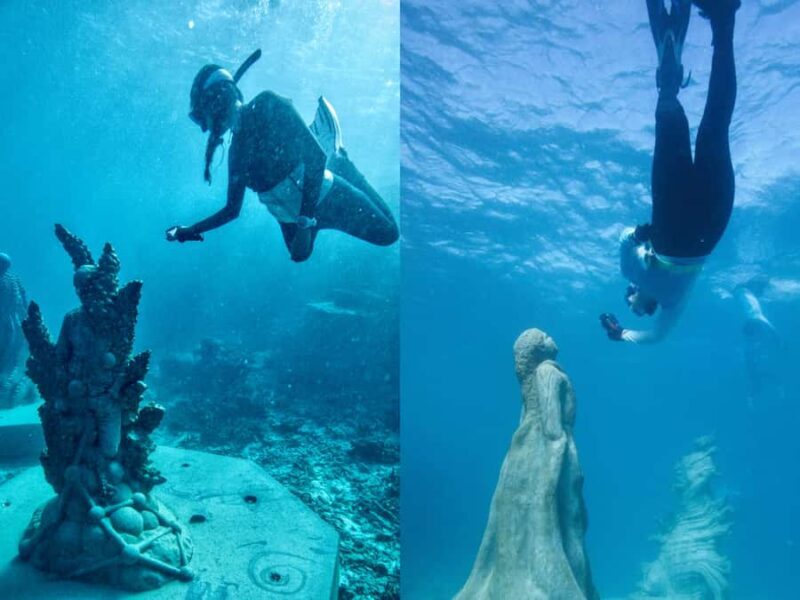 Townsville: Great Barrier Reef and MOUA Snorkeling Day Tour - Key Points