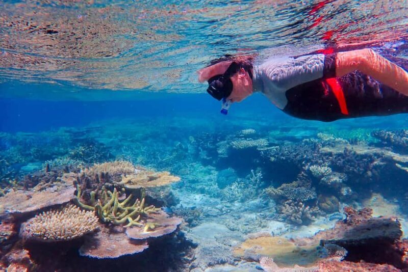 Townsville: Great Barrier Reef and MOUA Snorkeling Day Tour - Why This Tour Offers Good Value