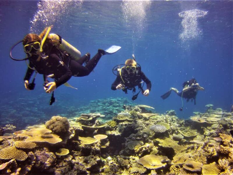 Townsville & Magnetic Island: Reef Explorer Scuba Experience - The Sum Up