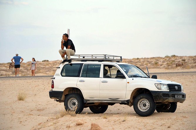 Tozeur and the Mountain Oasis - Transportation and Accessibility
