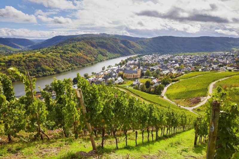Traben-Trarbach / Bernkastel-Kues, Moselle: Wine experience hike - An In-Depth Look at the Moselle Wine Experience Hike