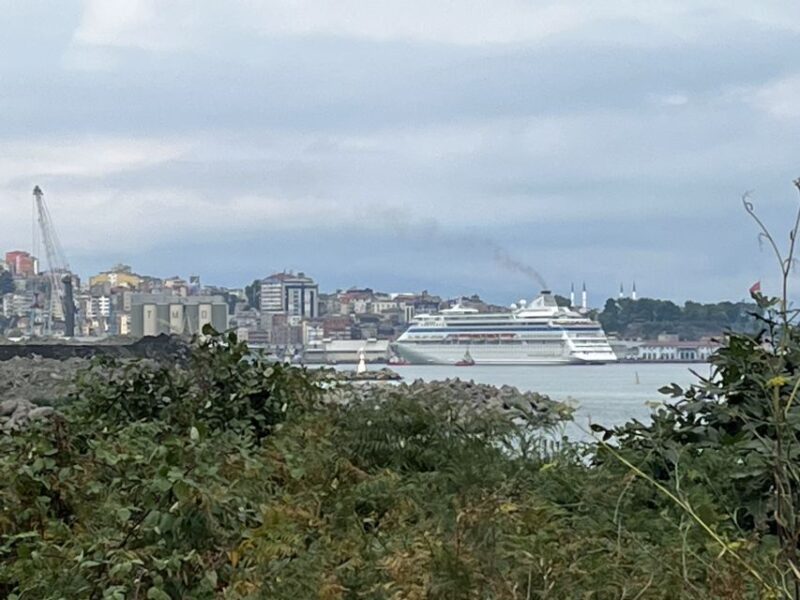 Trabzon: Guided City Tour With Tea Factory Visit and Tasting - Key Points