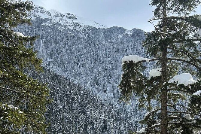Trabzon Sümela Monastery, Cave, and Hamsiköy Daily Tour - Torul Glass Terrace: Walking on Air