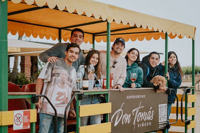 Tractor Pull Around Vineyards and Wine Tasting Tour - A Practical Look at the Tractor Pull Around Vineyards and Wine Tasting Tour