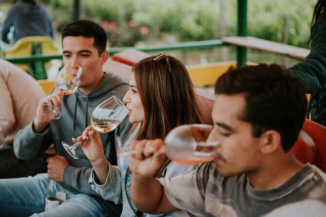 Tractor Pull Around Vineyards and Wine Tasting Tour - Key Points