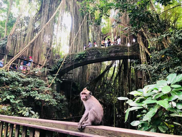 Traditional Bali Art and Shopping Tour in Ubud - Itinerary Highlights