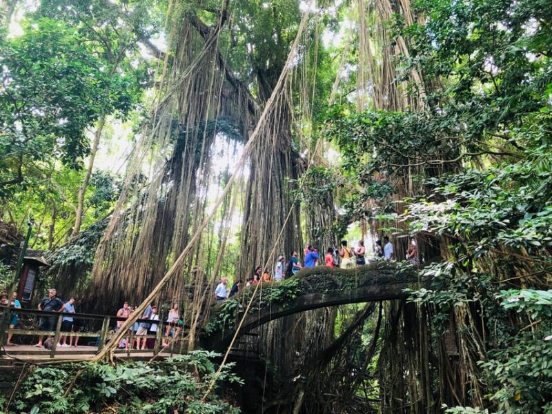 Traditional Bali Art and Shopping Tour in Ubud - Cultural Experiences