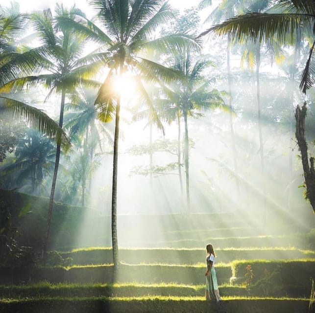 Traditional Bali Art and Shopping Tour in Ubud - Sacred Monkey Forest